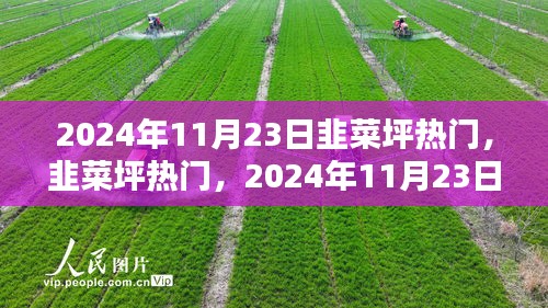 2024年11月23日韭菜坪热门全新体验评测，一场不容错过的精彩之旅