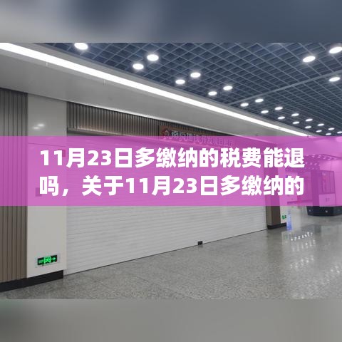 关于11月23日多缴纳税费能否退还的探讨与解析