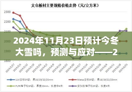 2024年11月23日大雪天气预测与应对准备指南