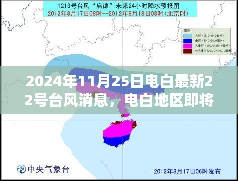 电白地区即将迎来新台风，关于最新台风消息的深度分析（最新报道时间）