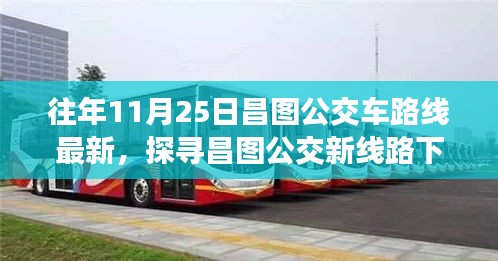 昌图公交新线路探秘，美食宝藏与小巷独特小店之旅