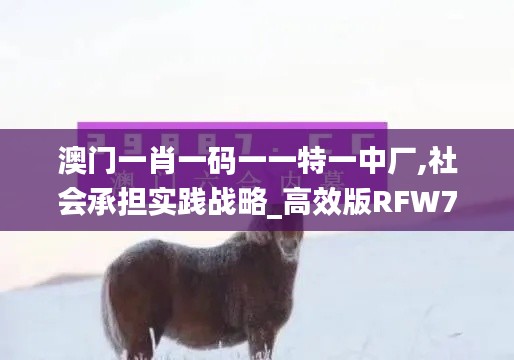 澳门一肖一码一一特一中厂,社会承担实践战略_高效版RFW7.56