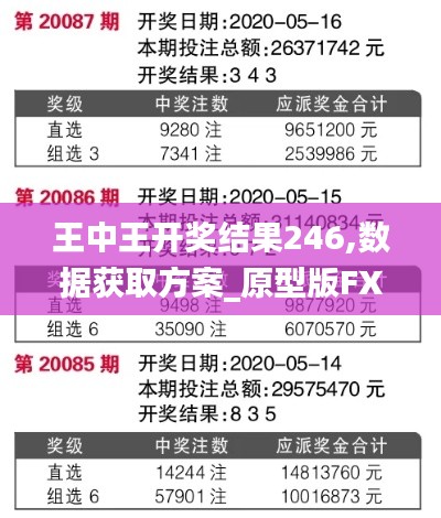 王中王开奖结果246,数据获取方案_原型版FXG7.52