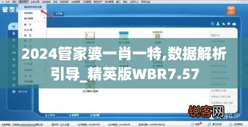 2024管家婆一肖一特,数据解析引导_精英版WBR7.57