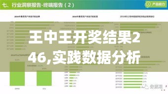 王中王开奖结果246,实践数据分析评估_随行版YKB7.81