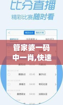 管家婆一码中一肖,快速解答方案实践_悬浮版UKP7.53