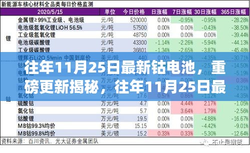 揭秘往年11月25日钴电池最新技术革新与趋势洞察