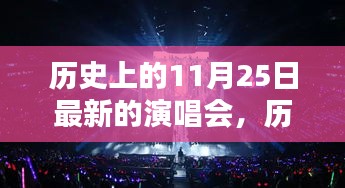 历史上的璀璨之夜，揭秘难忘的演唱会之夜，11月25日的音乐盛宴