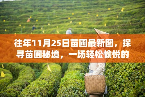 探寻苗圃秘境，最新图像带你体验轻松愉悦的旅行，发现内心的宁静