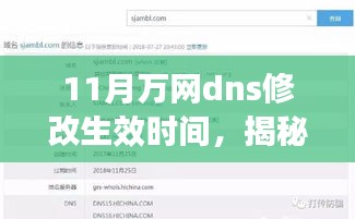 揭秘11月万网DNS修改生效时间的奥秘，一篇文章深度解析