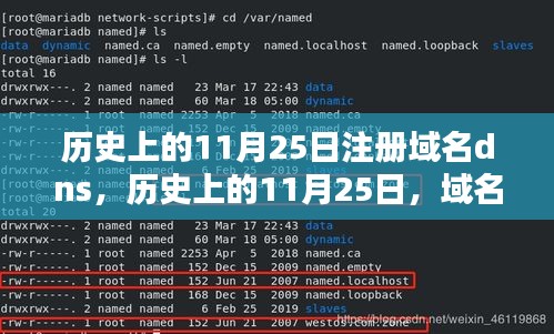 历史上的11月25日，域名DNS注册之路回顾