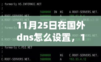 国外DNS设置指南，11月25日如何正确配置DNS？