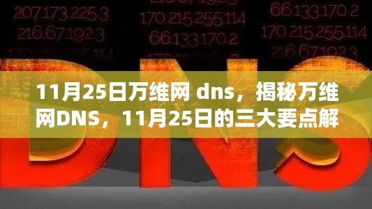 揭秘万维网DNS，11月25日三大要点深度解析