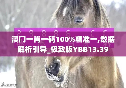 澳门一肖一码100%精准一,数据解析引导_极致版YBB13.39