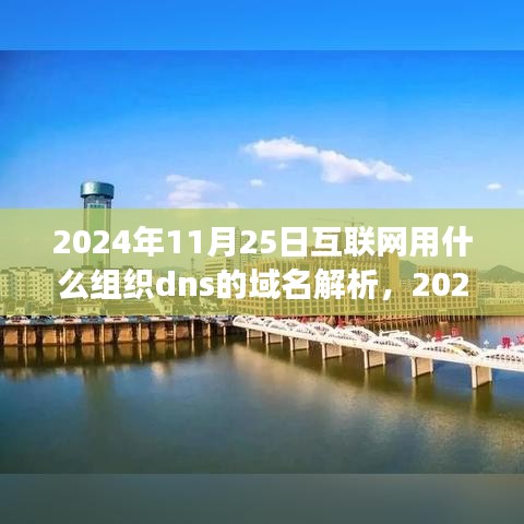 未来互联网下的自然探索之旅，域名解析与心灵的宁静相遇