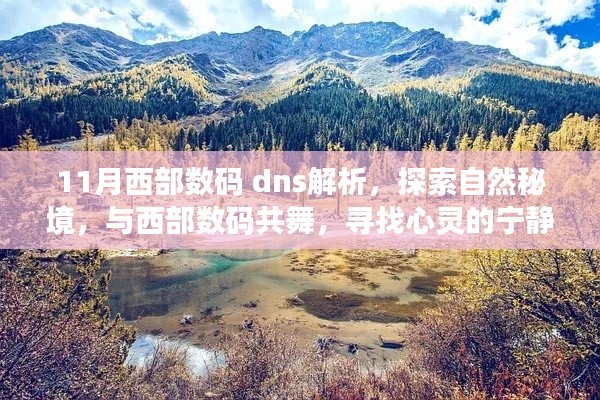 11月西部数码DNS解析之旅，探索自然秘境，心灵港湾的寻找