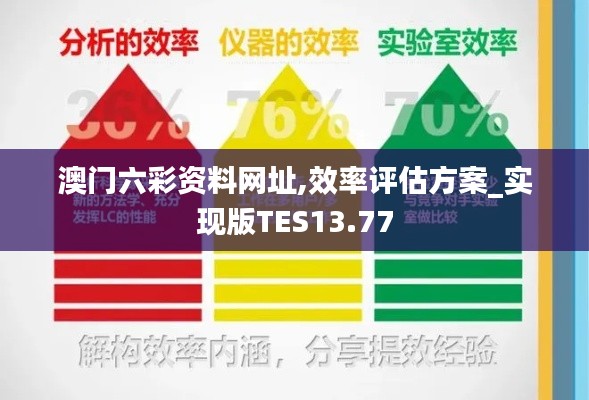 澳门六彩资料网址,效率评估方案_实现版TES13.77