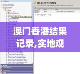 澳门香港结果记录,实地观察数据设计_触控版JMI13.99