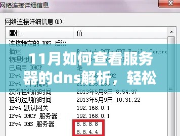 11月服务器DNS解析查看指南，轻松检查与解析方法