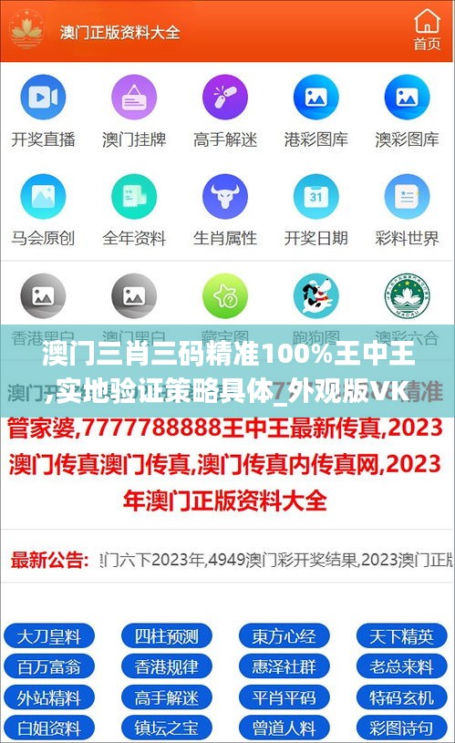 澳门三肖三码精准100%王中王,实地验证策略具体_外观版VKI13.58