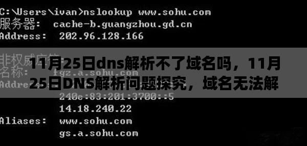 探究域名解析问题，揭秘域名无法解析真相与观点在11月25日DNS解析中的表现