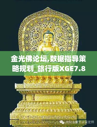 金光佛论坛,数据指导策略规划_旅行版XGE7.89