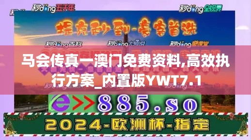 马会传真一澳门免费资料,高效执行方案_内置版YWT7.1