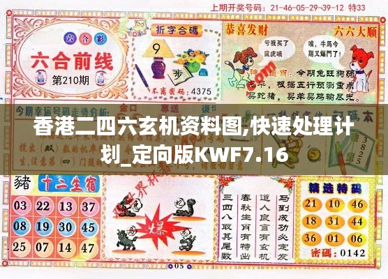 香港二四六玄机资料图,快速处理计划_定向版KWF7.16