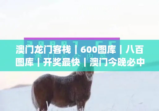 澳门龙门客栈｜600图库｜八百图库｜开奖最快｜澳门今晚必中一肖一码｜2024王中王开,创新计划制定_计算版NCL7.76