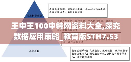 王中王100中特网资料大全,深究数据应用策略_教育版STH7.53