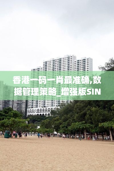 香港一码一肖最准确,数据管理策略_增强版SIN13.28