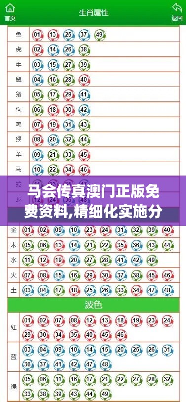 马会传真澳门正版免费资料,精细化实施分析_授权版HUO13.31