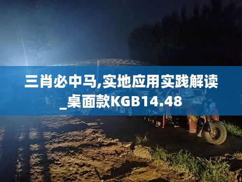 三肖必中马,实地应用实践解读_桌面款KGB14.48