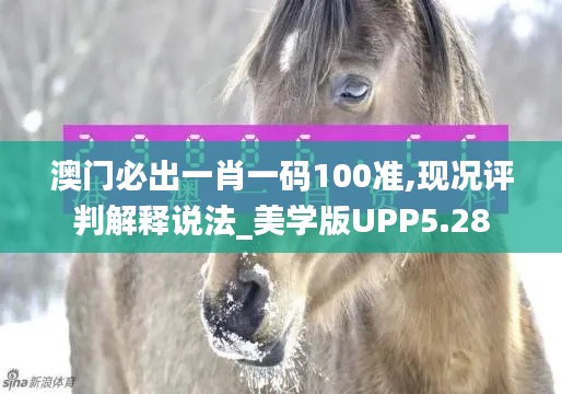 澳门必出一肖一码100准,现况评判解释说法_美学版UPP5.28