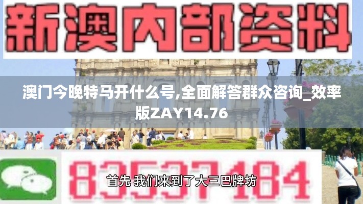 澳门今晚特马开什么号,全面解答群众咨询_效率版ZAY14.76