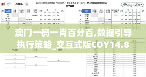 澳门一码一肖百分百,数据引导执行策略_交互式版COY14.82