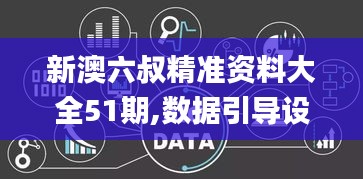 新澳六叔精准资料大全51期,数据引导设计方法_神秘版UQK5.37