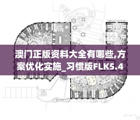 澳门正版资料大全有哪些,方案优化实施_习惯版FLK5.49