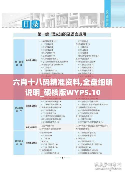 六肖十八码精准资料,全盘细明说明_硬核版WYP5.10