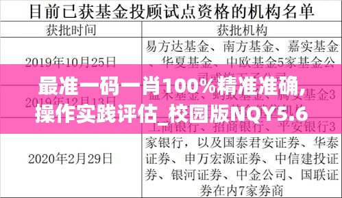 最准一码一肖100%精准准确,操作实践评估_校园版NQY5.64