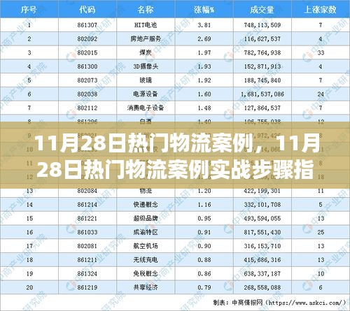 11月28日热门物流案例实战指南，从入门到精通