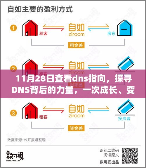 11月28日查看dns指向，探寻DNS背后的力量，一次成长、变化与自信的奇妙旅程