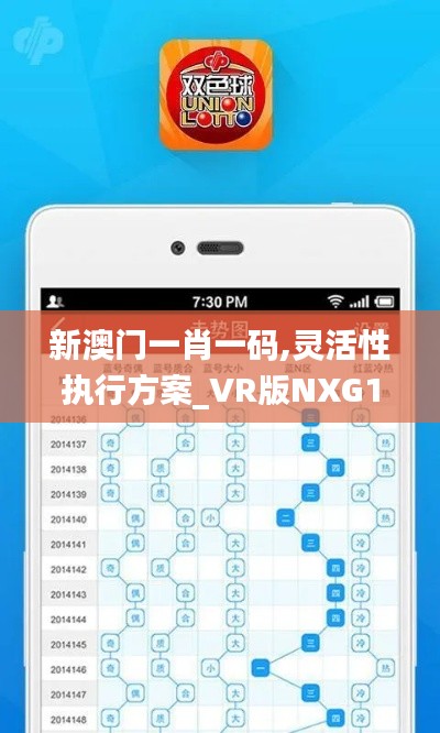 新澳门一肖一码,灵活性执行方案_VR版NXG13.20