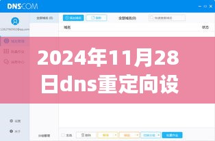 2024年DNS重定向设置详解，解析、观点与洞察