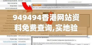 949494香港网站资料免费查询,实地验证实施_线上版RMY13.80