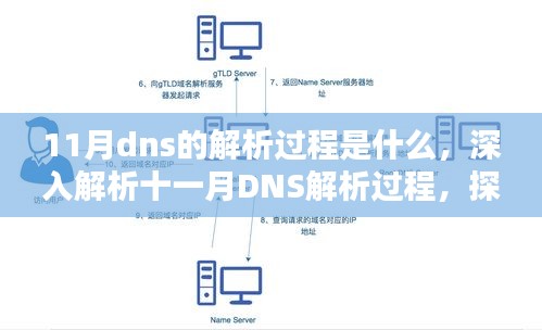 深入解析11月DNS解析过程，工作机制与多元观点探究