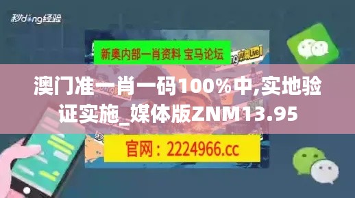 澳门准一肖一码100%中,实地验证实施_媒体版ZNM13.95