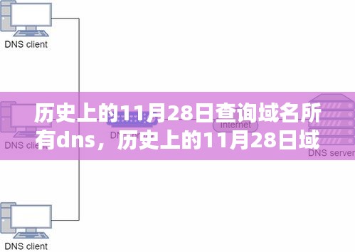 历史上的11月28日域名DNS查询深度解析与评测报告