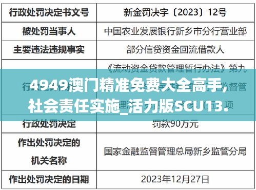 4949澳门精准免费大全高手,社会责任实施_活力版SCU13.60