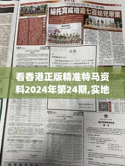 看香港正版精准特马资料2024年第24期,实地验证实施_编辑版CFC13.11